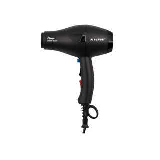 Sèche-Cheveux - KP-60 Hair...