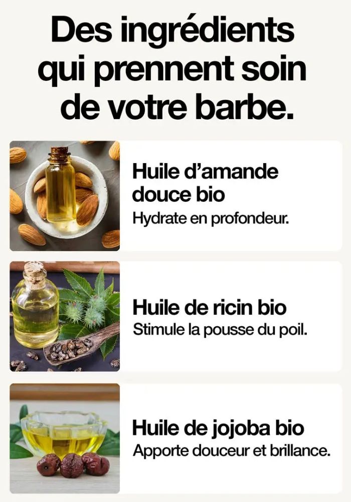 L'avis du Chief